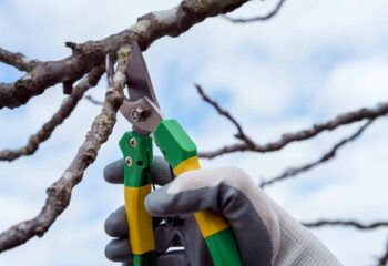 jardinier à Blendecques