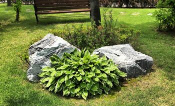 jardinier à Saint-Omer