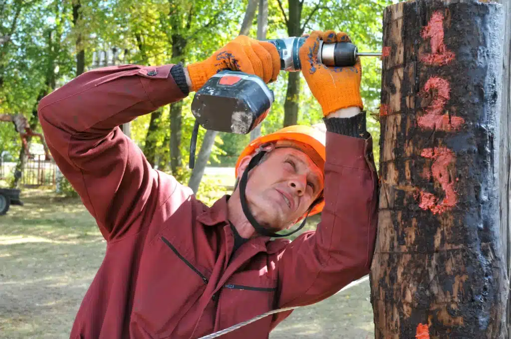 elagage erable Arques